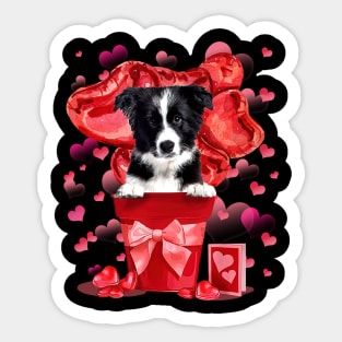 Border Collie Dog In Red Pot Happy Valentine's Day Sticker